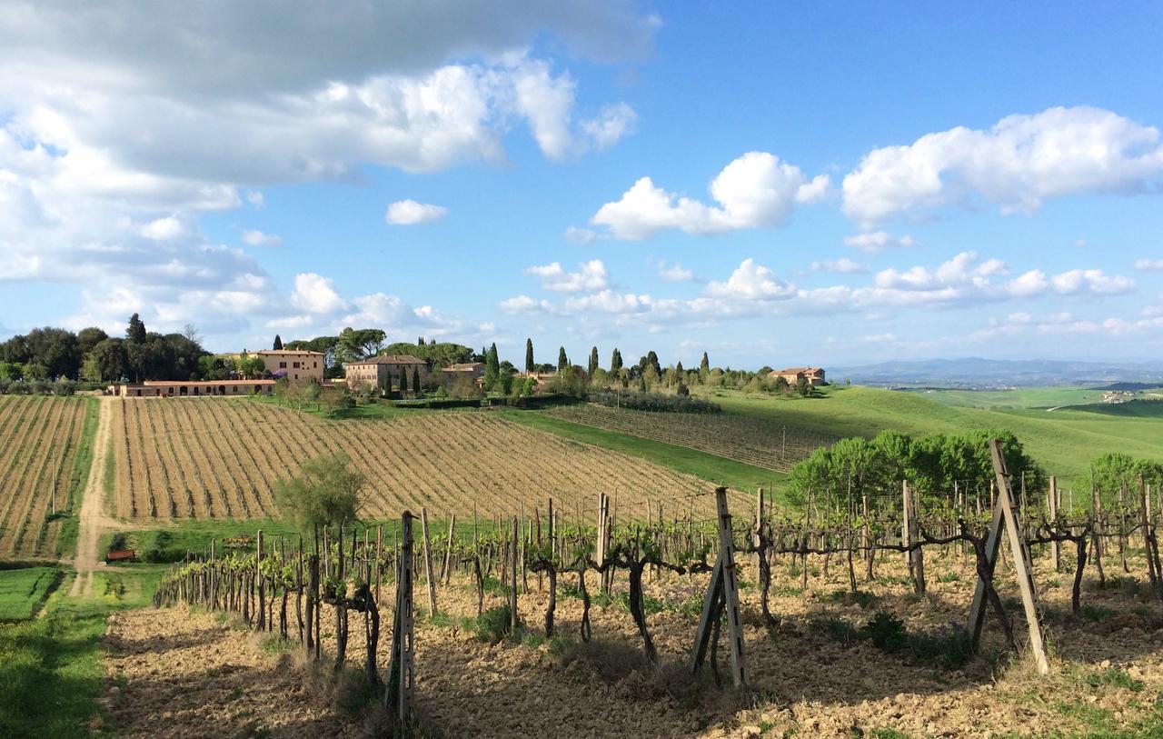 Tenuta Di Corsano Monteroni dʼArbia Εξωτερικό φωτογραφία