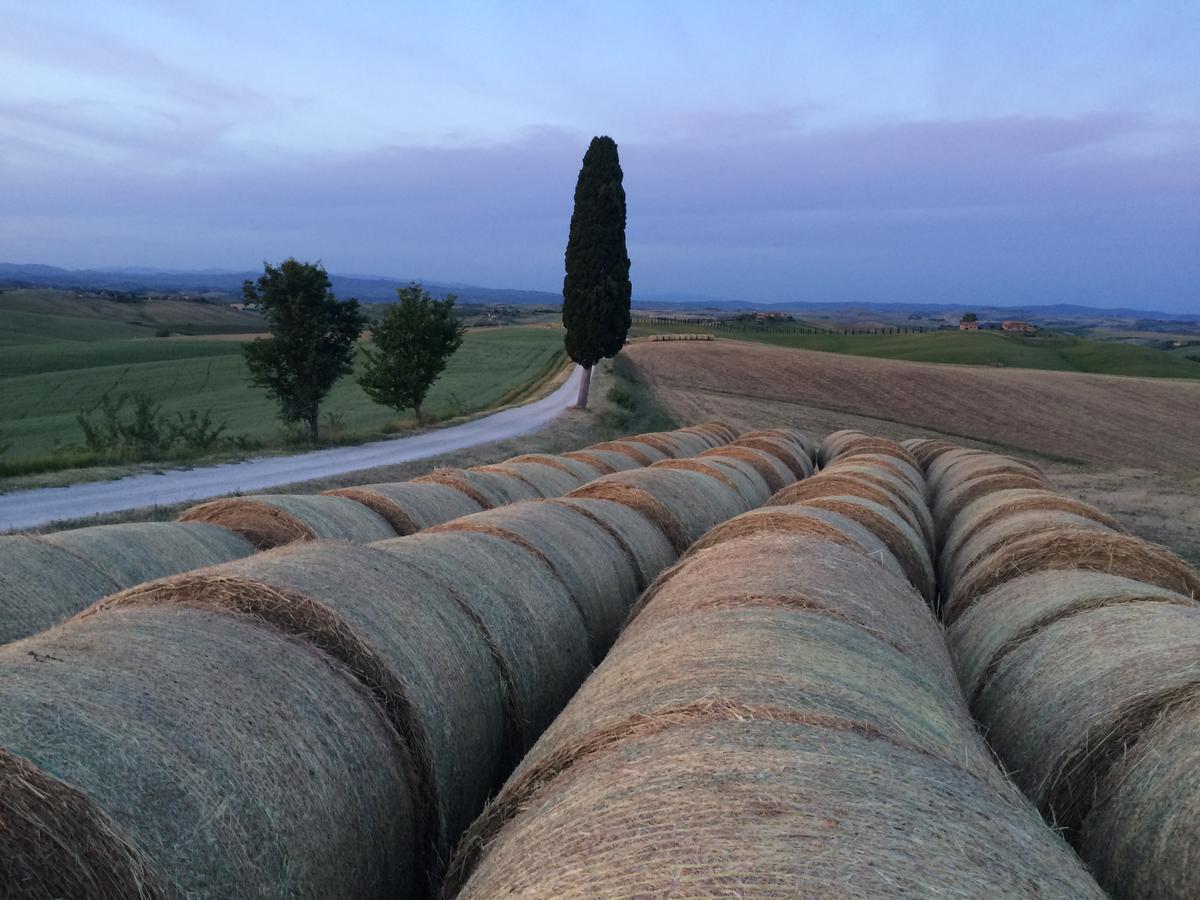 Tenuta Di Corsano Βίλα Monteroni dʼArbia Εξωτερικό φωτογραφία