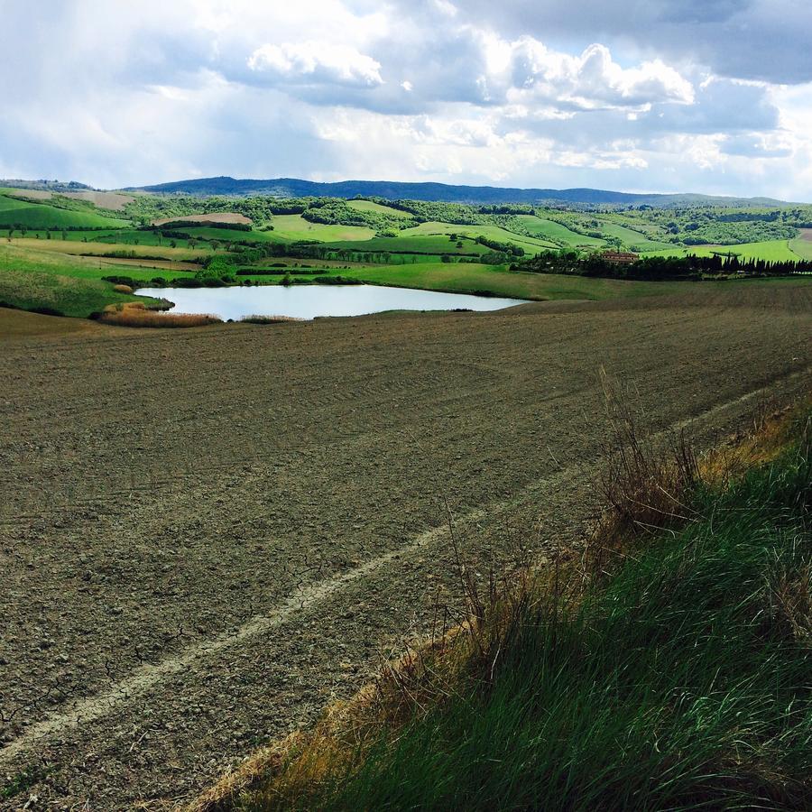 Tenuta Di Corsano Βίλα Monteroni dʼArbia Εξωτερικό φωτογραφία